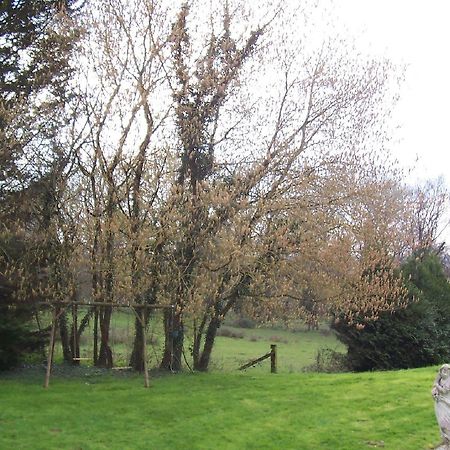 Bed and Breakfast Chateau Champigny Maillet  Экстерьер фото