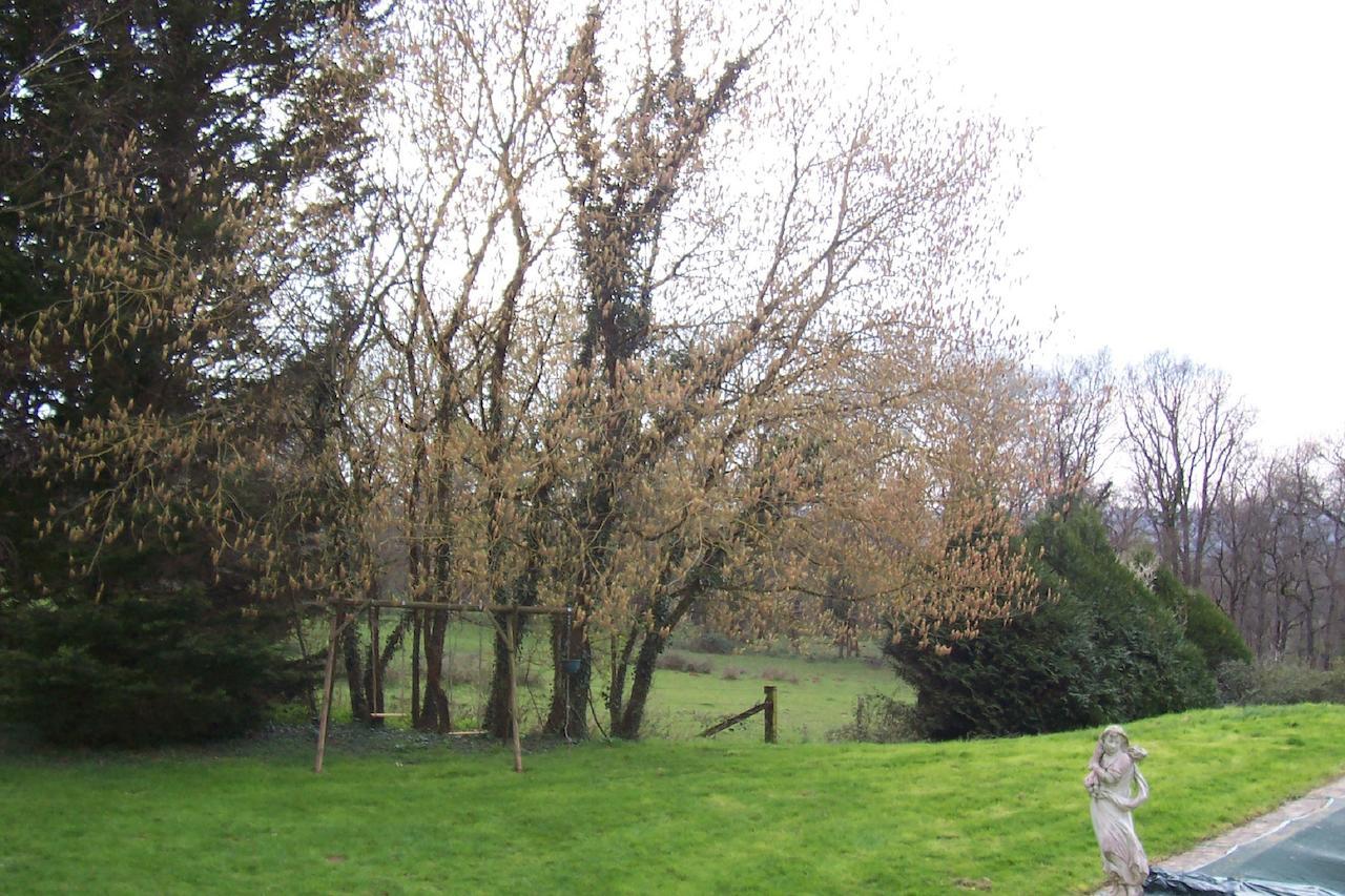 Bed and Breakfast Chateau Champigny Maillet  Экстерьер фото